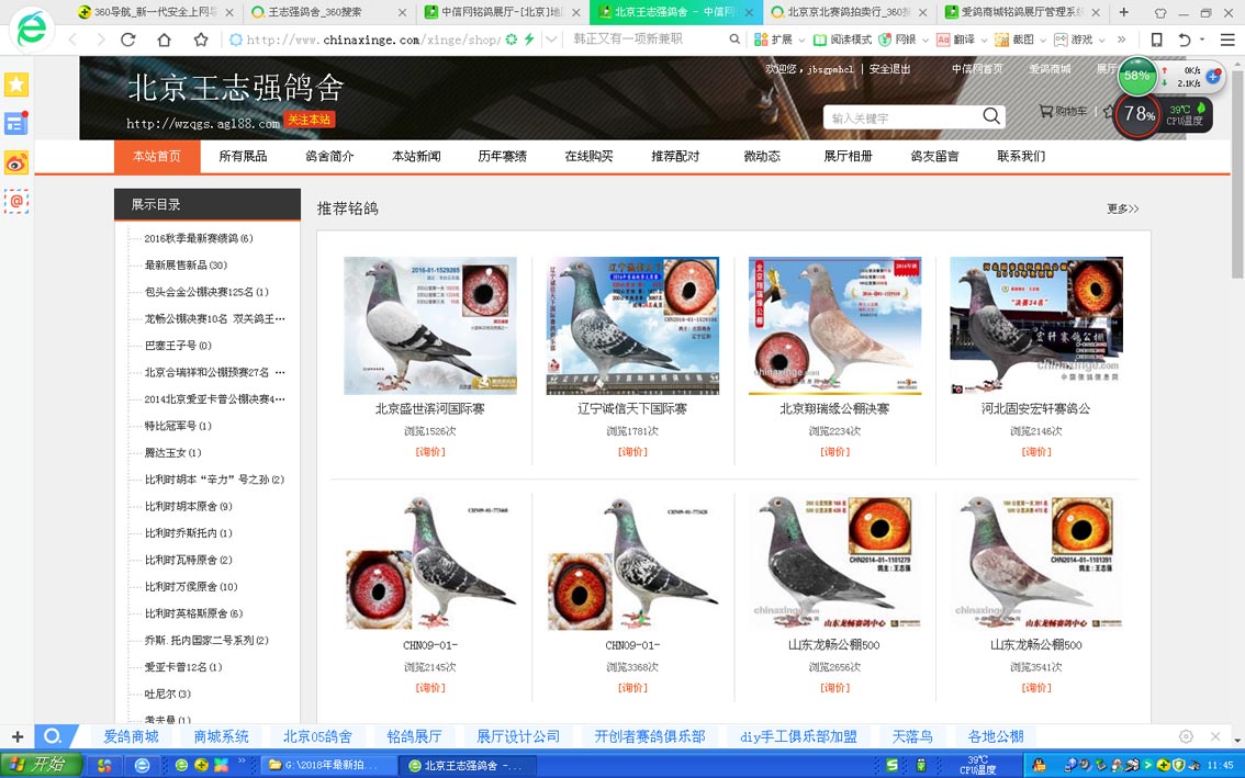 北京名家丰台王志强先生 精品种鸽拍卖第二期 - 信鸽