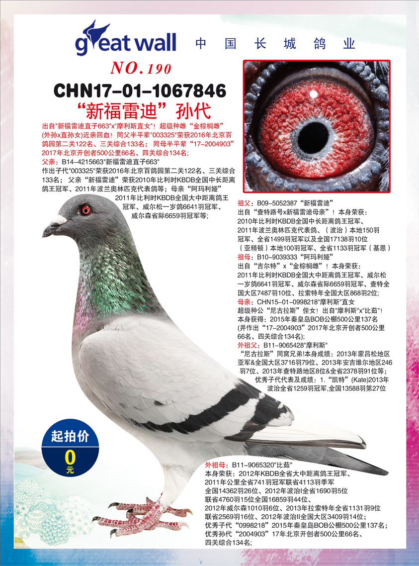 中国-长城鸽业2018哈尔滨拍卖会7