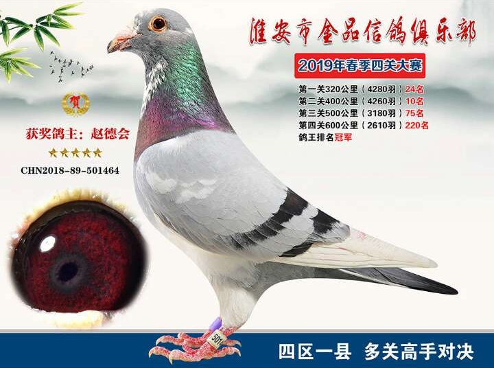 欧亚回馈工薪鸽友,盛夏专场