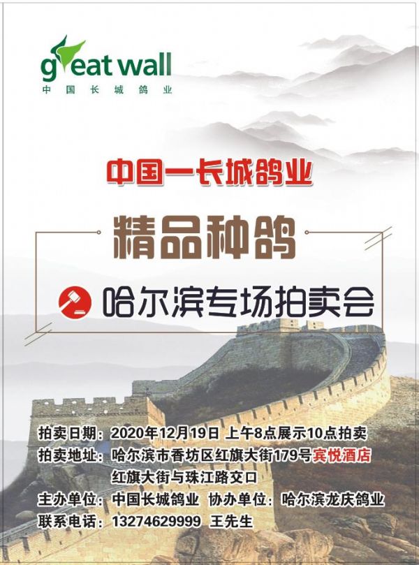 中国-长城鸽业2020年12月19日哈尔滨专场拍卖会(一)
