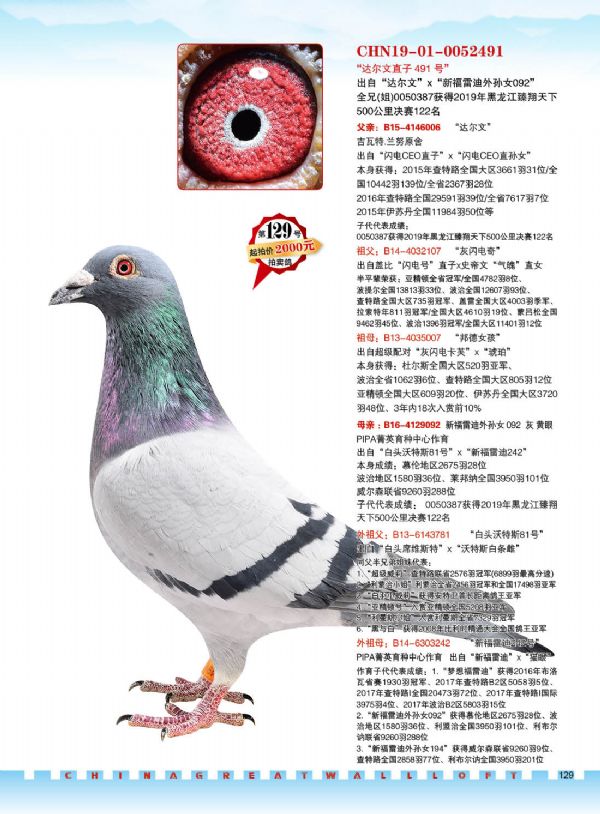 中国-长城鸽业2021年01月03日北京专场拍卖会(五)