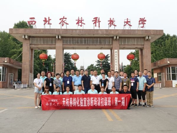 热烈祝贺西农之光无抗养鸽化验室诊断初级培训班第1期圆满落幕