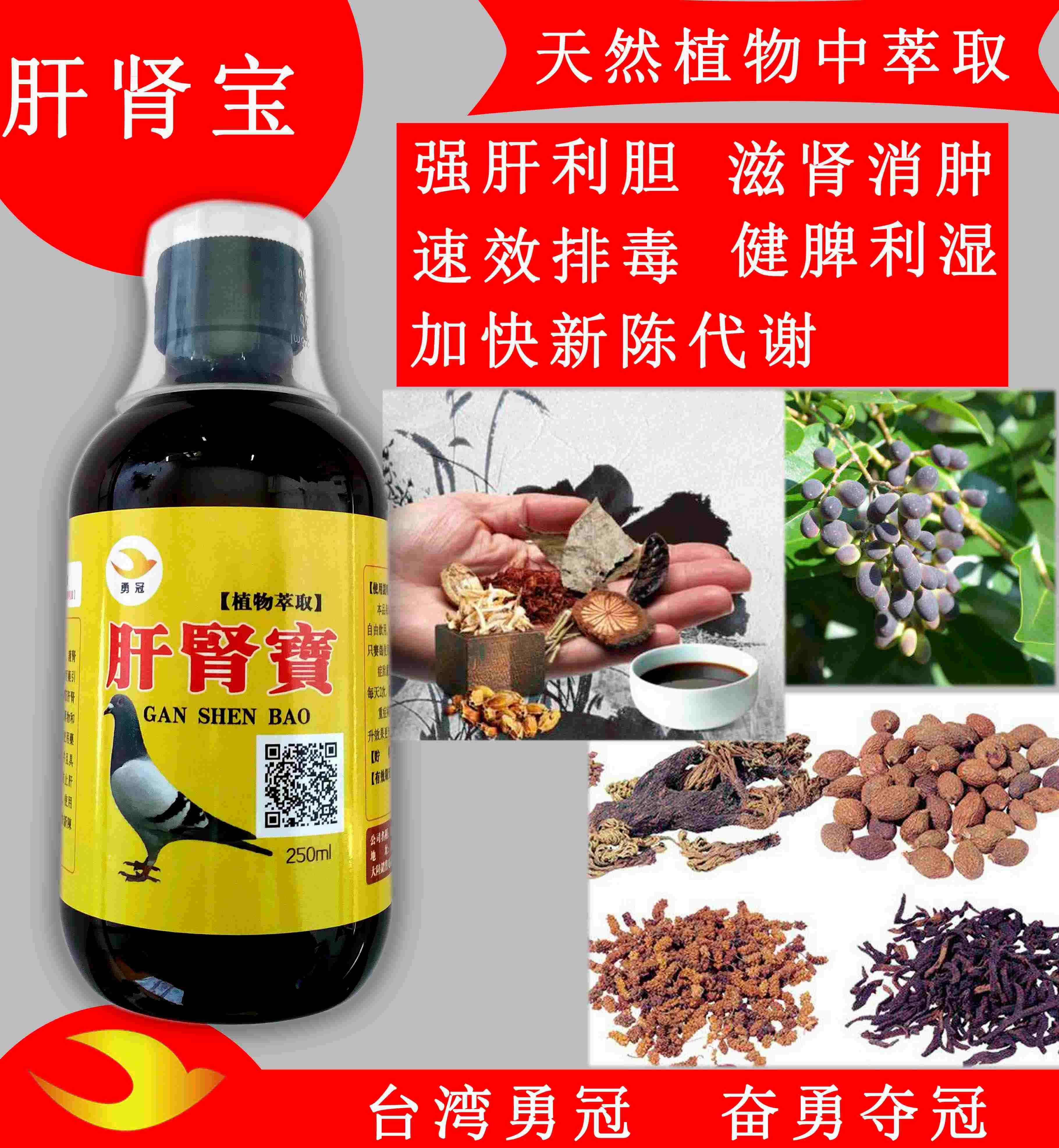 保障赛鸽健康;精血互生,盛则同盛,衰则同衰,所以保肝可护